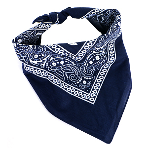 Bandanas & Multi Function Scarves