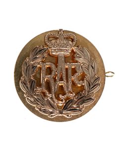 This shows the British RAF Queens Crown Beret Badge with Back Plate from the front. -TN
