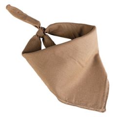 Coyote Cotton Bandana