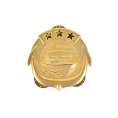 US Navy Officer Small Craft Badge