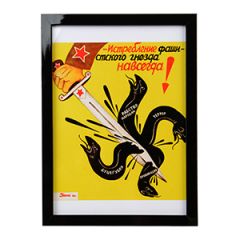 WW2 Russian Slayer of the Fascist Nest Framed Print