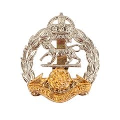 British Royal Hampshire Regiment Cap Badge