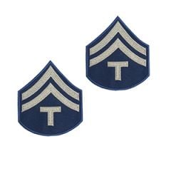 Blue Technician/5th Grade Rank Badge with two silver coloured stripes and the letter T underneath