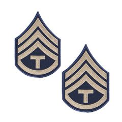 Dark blue Technician/3rd Grade Rank Badge with silver detail