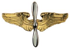 US Air Cadets Visor Cap Badge