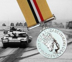 IRAQ Op-Telic Medal
