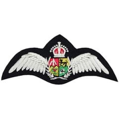WW2 South African Air Force Wings