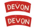 Devon Regiment