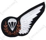 RAF Parachute Jump Instructors Wing