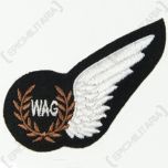 RAF WAG Wing