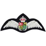 WW2 South African Air Force Wings