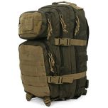 20L Molle Assault Pack Regular - Green and Coyote