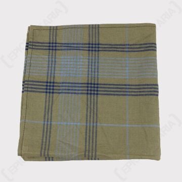 Folded up green handkerchief with dark and light blue line detail