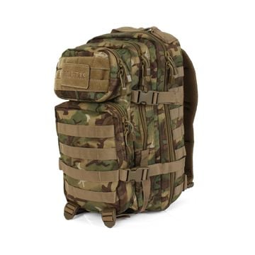 20L Molle Assault Pack Regular - Arid Woodland Camo