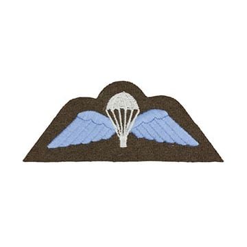 The view shows the WW2 British Army Paratrooper Wings Thumbnail
