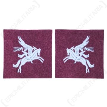 This view shows the front of the WW2 British Pegasus Patches