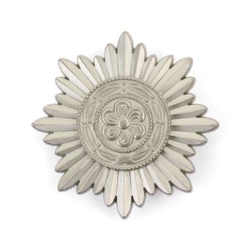 Ostvolk Medal 1st Class in Silver