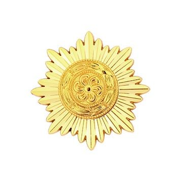 Ostvolk Medal 1st Class in Gold