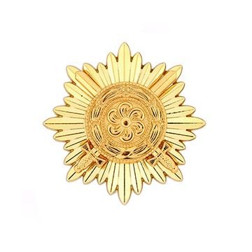 Ostvolk Medal 1st Class in Gold with Swords