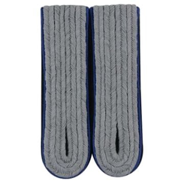 Waffen-SS Medical Officer Ustuf.-Hstuf. (Blue piped)
