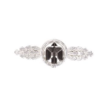 Luftwaffe Day Fighter Clasp - Silver Thumbnail