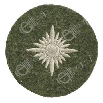 Oberschutze Rank Star Army on field grey cloth