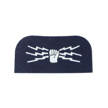 WW2 British & Allied Wireless Operator Badge