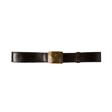 This view shows the front of the belt. Thumbnail.