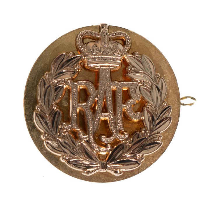 This shows the British RAF Queens Crown Beret Badge with Back Plate from the front.