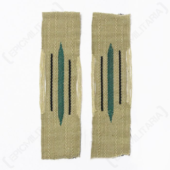 Pioneers EM Bevo Litzen Collar Tabs