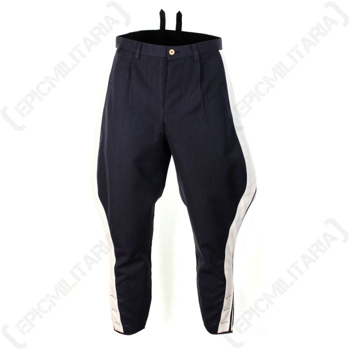 WW2 German Luftwaffe General M35 Breeches Main