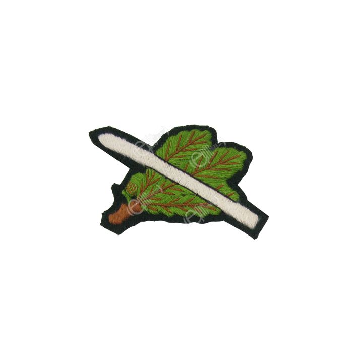 Jager leaves with Skis