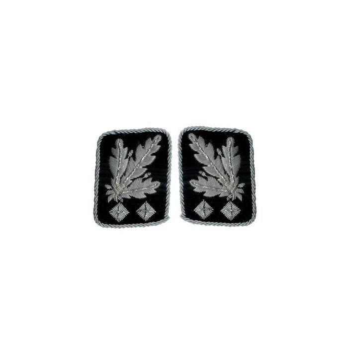 Waffen-SS Obergruppenfuhrer Collar Tabs